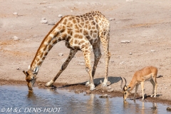 Etosha