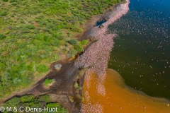 Lac Bogoria / lake Bogoria