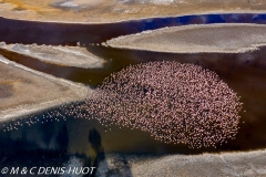 lac Magadi / lake Magadi