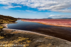 lac Magadi / lake Magadi