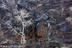 réserve de Bogoria / Bogoria game reserve