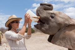 orphelinat des éléphants / elephant orphanage