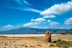 lac Magadi / lake Magadi