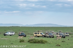 safari / Kenya