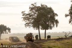 safari / Kenya