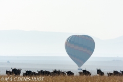 safari en ballon / balloon flight