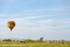 safari en ballon / balloon flight