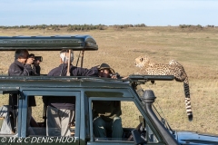 safari / Kenya