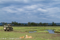 safari / Kenya