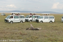 safari / Kenya